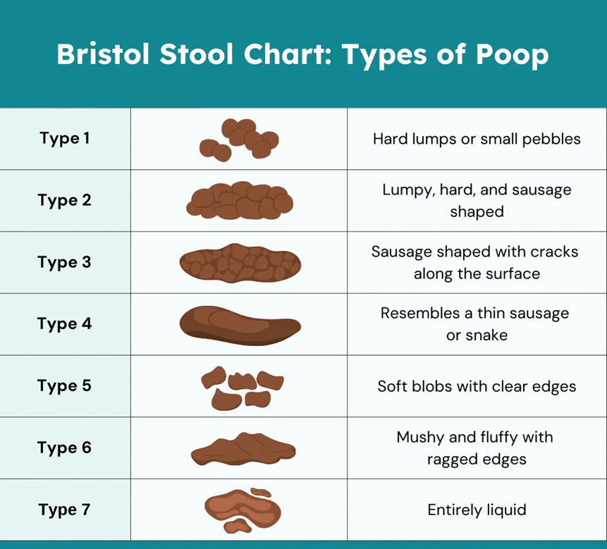 Bristol Stool chart